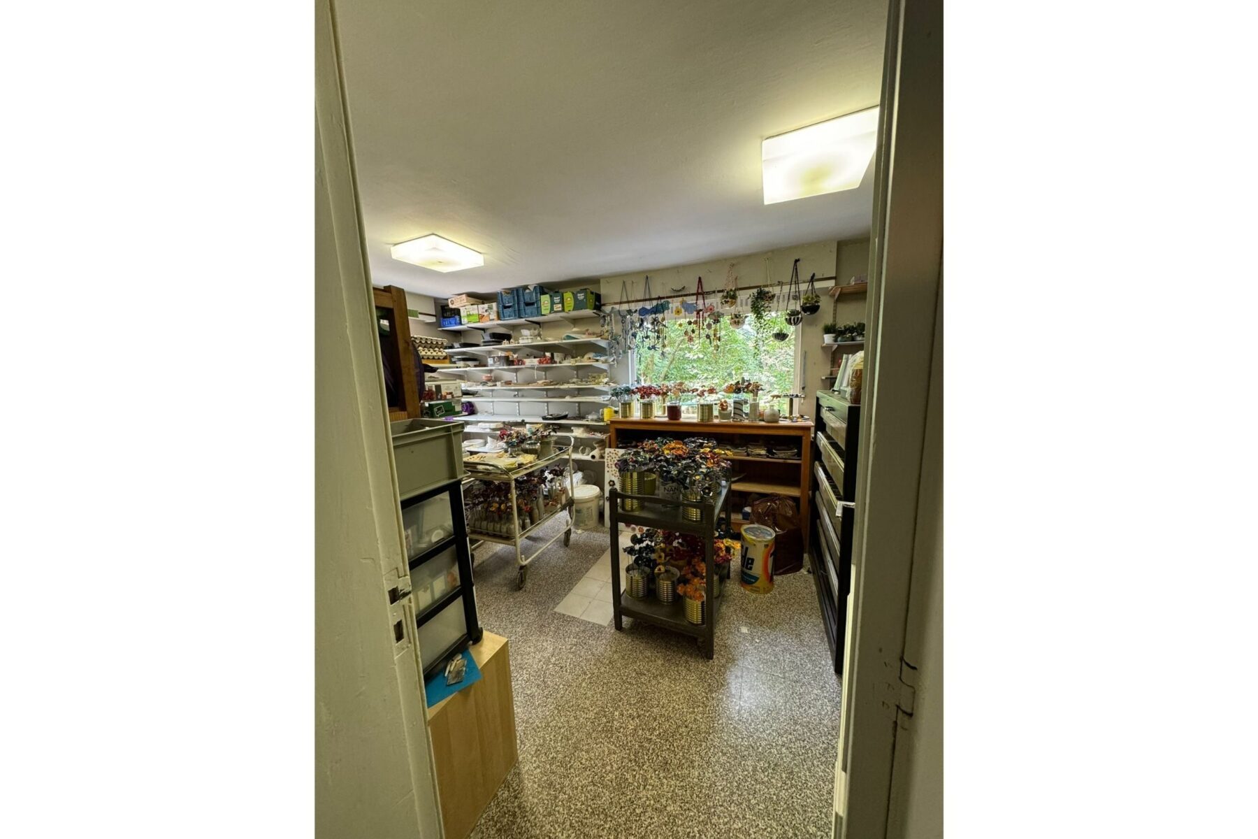 Werkstatt der ASF Arche Antwerpen: helles Bastelzimmer mit Regalen, Pflanzen, hängenden Töpfen und rollbarem Materialwagen.
