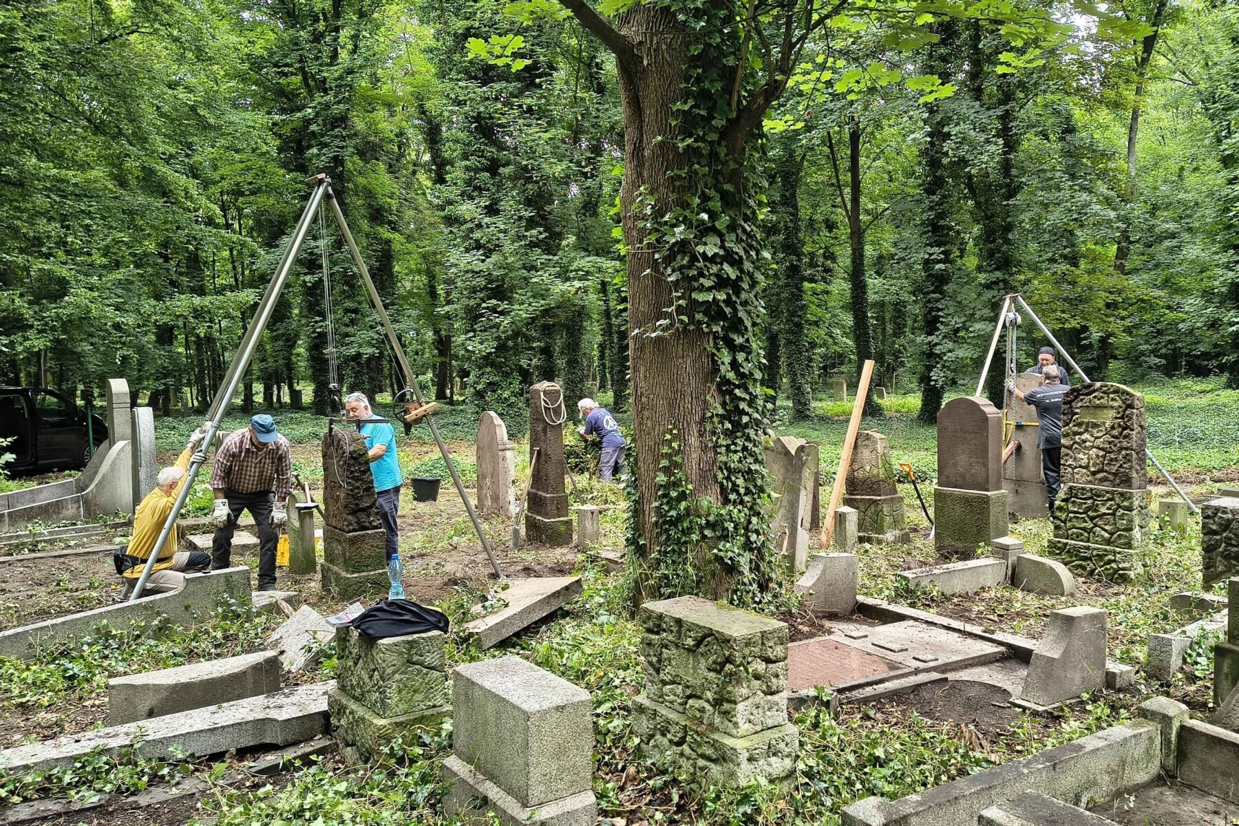 Freiwillige heben und reparieren Grabsteine im Neuen Jüdischen Friedhof Wrocław, bewaldete Anlage mit Hebegeräten